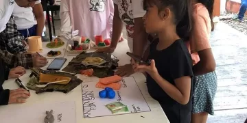 Reportan en Quintana Roo entre 7 y 8 mil alumnos “fantasmas”