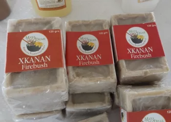 Grupo Maya Dzak de San Ángel, ejemplo de emprendimiento ecológico
