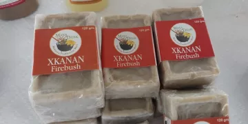 Grupo Maya Dzak de San Ángel, ejemplo de emprendimiento ecológico