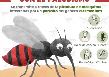 Refuerzan acciones de prevención y detección del paludismo en Isla Mujeres