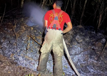 Se sofoca incendio forestal en Puerto Morelos tras intensas jornadas de combate