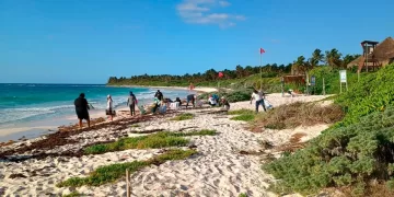 Importante contribución de Eco-Bahía para recuperar la belleza de las playas