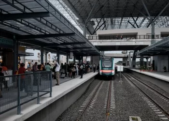 Empresas del Sur cifran esperanzas en el servicio de carga del Tren Maya