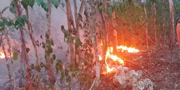 Ya se reportan incendios forestales en 5 municipios