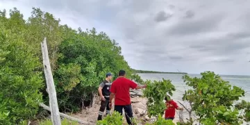 Intensa búsqueda de extranjero desaparecido en Cozumel