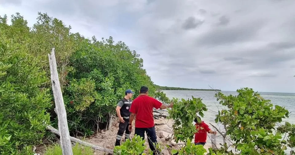 Intensa búsqueda de extranjero desaparecido en Cozumel
