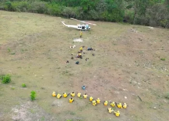 Quintana Roo envía brigadistas para apoyar combate a incendios en Oaxaca