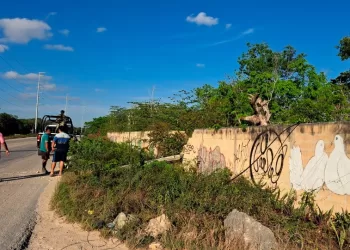 Tráiler derriba un poste y deja sin energía eléctrica a varias colonias de Tulum