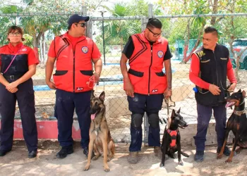 Unidad Canina de Bomberos hace demostración en Cancún