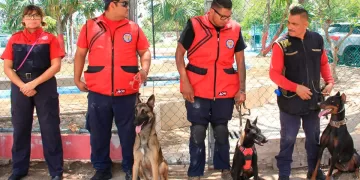 Unidad Canina de Bomberos hace demostración en Cancún
