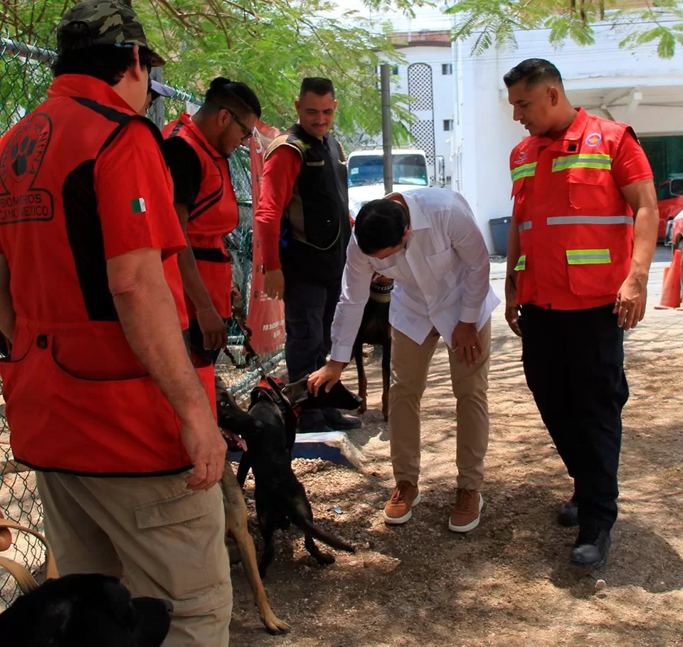 Unidad Canina de Bomberos hace demostración en Cancún