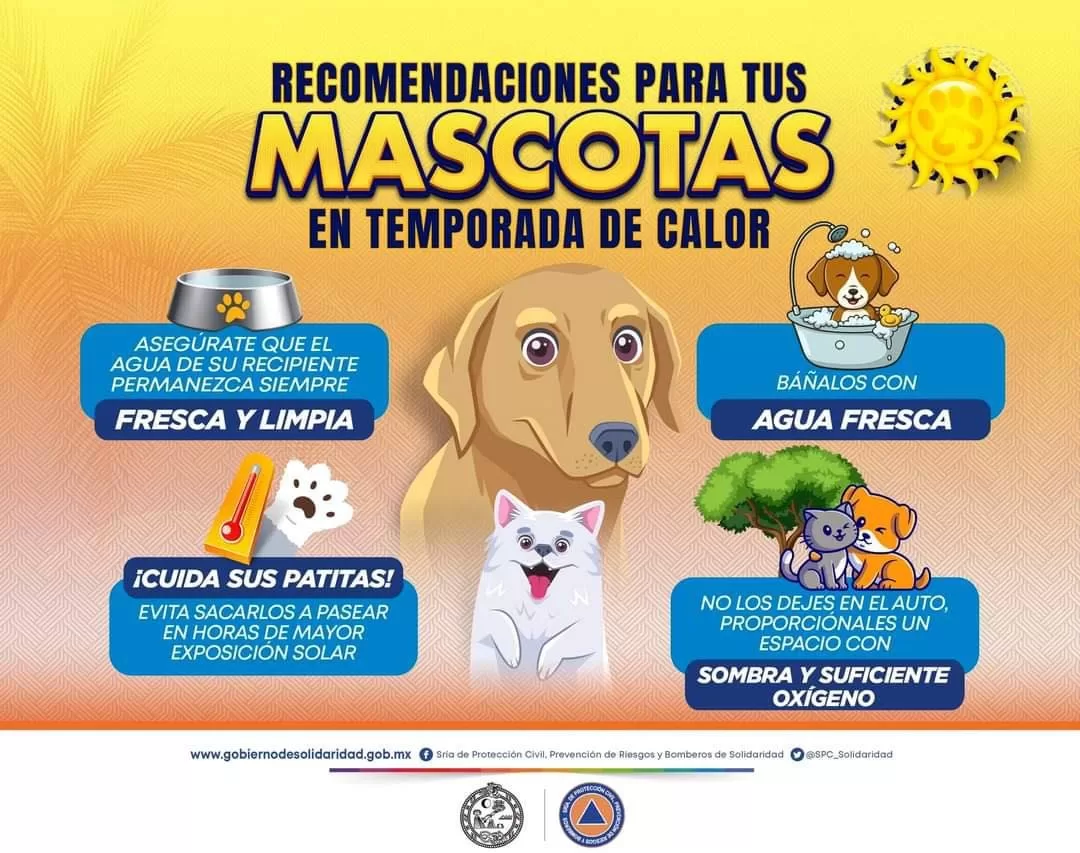 Emiten recomendaciones para prevenir golpes de calor