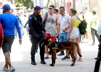 Sector hotelero de la Riviera Maya insiste en la necesidad de fortalecer la promoción y seguridad