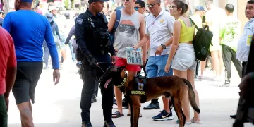 Sector hotelero de la Riviera Maya insiste en la necesidad de fortalecer la promoción y seguridad