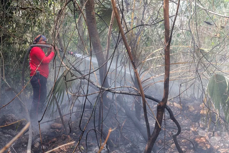 Combaten tres incendios forestales en Benito Juárez