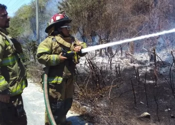 Mantiene Puerto Morelos monitoreo de incendios a pesar de las lluvias