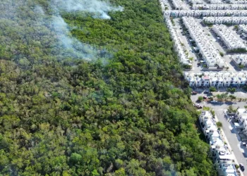 Humo de incendio forestal afecta a vecinos de fraccionamiento en Playa del Carmen