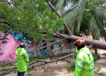 No bajan la guardia en Solidaridad y se refuerzan operativos de limpieza por lluvias
