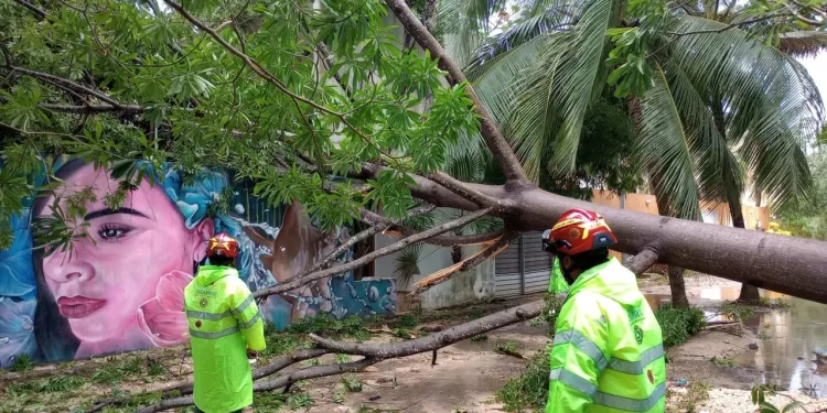 No bajan la guardia en Solidaridad y se refuerzan operativos de limpieza por lluvias