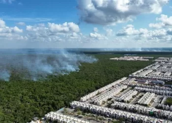 Brigada Ocelotes trabaja arduamente para sofocar incendio en Playa del Carmen
