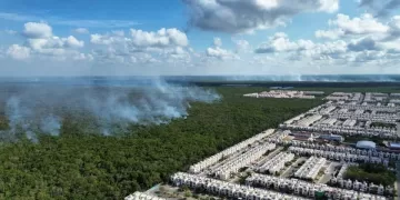 Brigada Ocelotes trabaja arduamente para sofocar incendio en Playa del Carmen