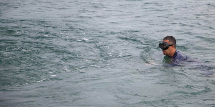 Descubren el origen de los misteriosos ojos de agua en Cozumel