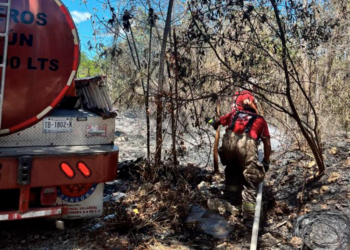 Atienden los bomberos de Cancún tres incendios en la zona urbana