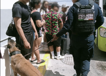 Implementa Unidad Canina de la SSC operativos de vigilancia en todo Quintana Roo