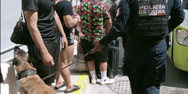 Implementa Unidad Canina de la SSC operativos de vigilancia en todo Quintana Roo