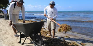 Reconocimiento Internacional a Playa por manejo del sargazo