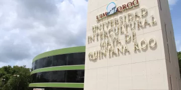 Joven de Morelos desarrolla una aplicación con Inteligencia Artificial