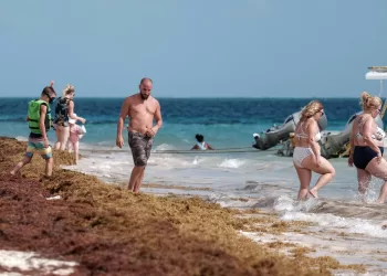 Predominan hoy las playas de Quintana Roo con abundancia de sargazo