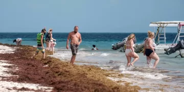 Predominan hoy las playas de Quintana Roo con abundancia de sargazo