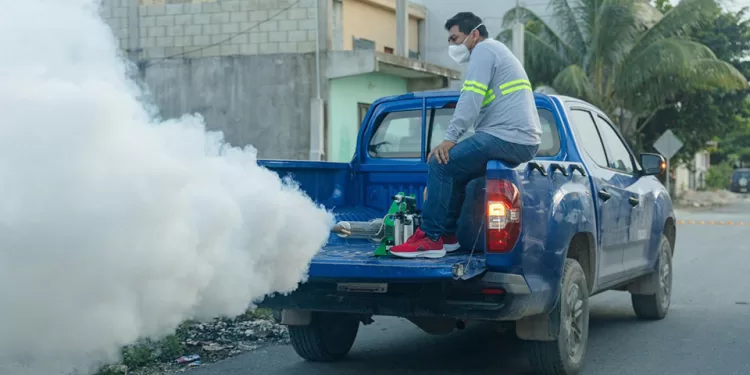 Campaña contra enfermedades transmitidas por vector en Tulum