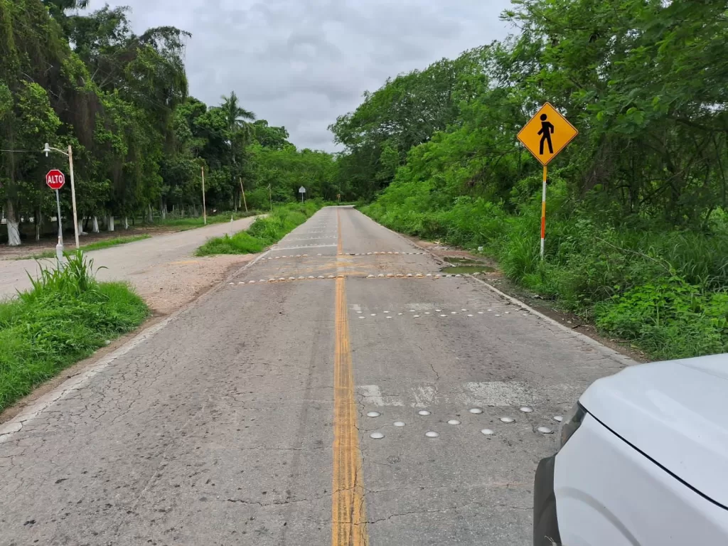 Saldo blanco en Felipe Carrillo Puerto, tras el paso de Beryl