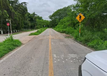 Saldo blanco en Felipe Carrillo Puerto, tras el paso de Beryl