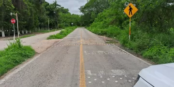 Saldo blanco en Felipe Carrillo Puerto, tras el paso de Beryl