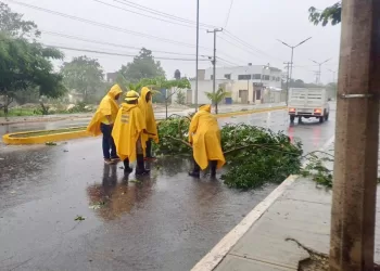 Encharcamientos y fallas en servicio de electricidad afectaciones en Isla Mujeres provocó ‘Beryl’