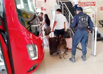 Fortalecerá la SSC la vigilancia durante las vacaciones de verano