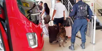 Fortalecerá la SSC la vigilancia durante las vacaciones de verano