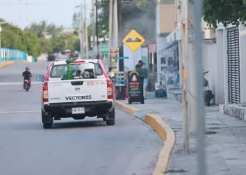 Previenen enfermedades transmitidas por mosquitos en Isla Mujeres