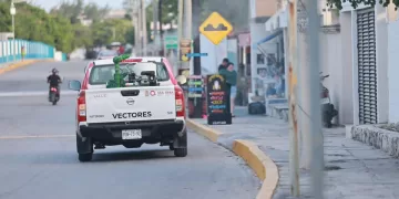 Previenen enfermedades transmitidas por mosquitos en Isla Mujeres