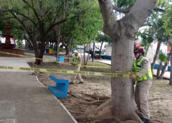 Trabaja Solidaridad en la prevención por fenómenos hidrometeorológicos