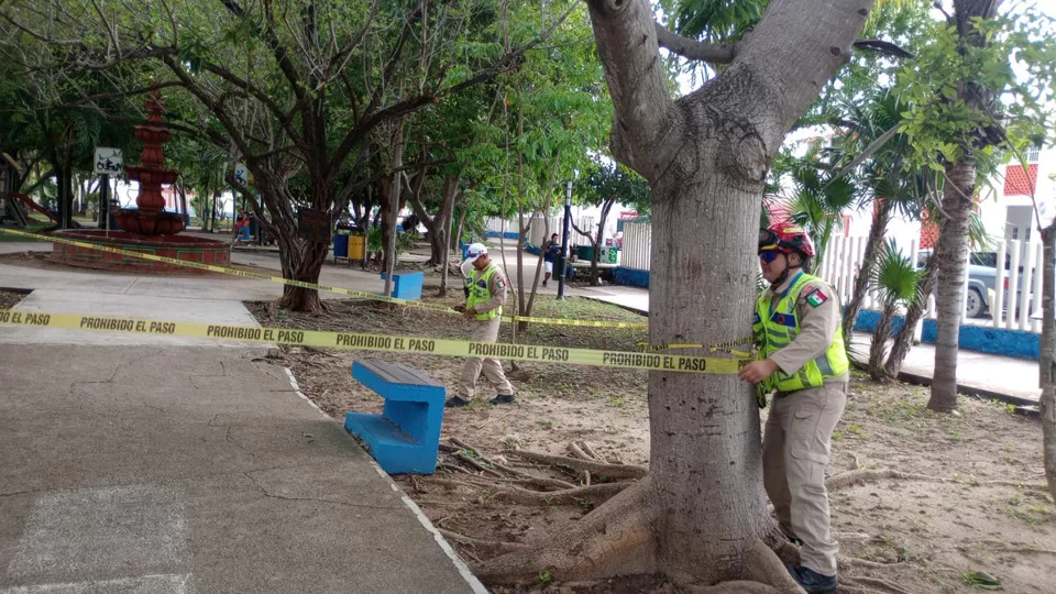 Trabaja Solidaridad en la prevención por fenómenos hidrometeorológicos