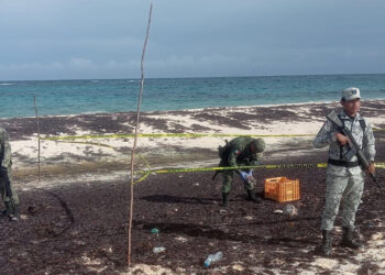 Encuentran paquetes con droga entre sargazo que recaló en playa de Cozumel