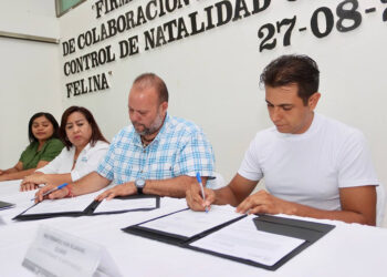 Suman esfuerzos en Puerto Morelos para el control de la fauna callejera