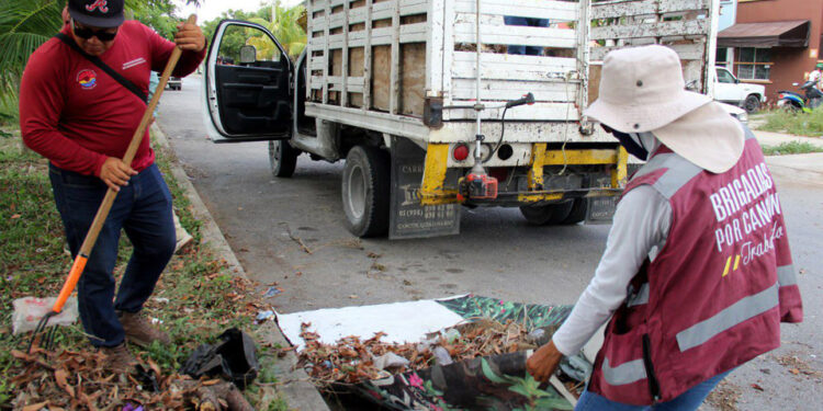 Desazolvan pozos de absorción y alcantarillas a fin de prevenir encharcamientos