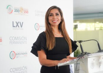 El peso de las cúpulas sobre la voluntad popular: el caso de Marybel Villegas