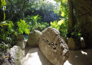 Promueve Grupo Xcaret su modelo de sostenibilidad entre todos los negocios