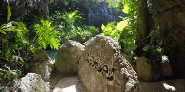 Promueve Grupo Xcaret su modelo de sostenibilidad entre todos los negocios
